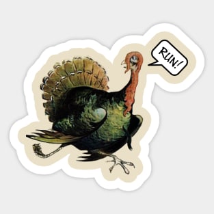 Run with the Turkeys for Thanksgiving Sticker